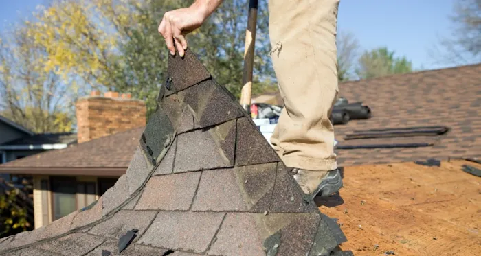 David Lowe Roofing Picture 8