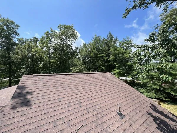 Anderson Gutter & Tree Picture 1