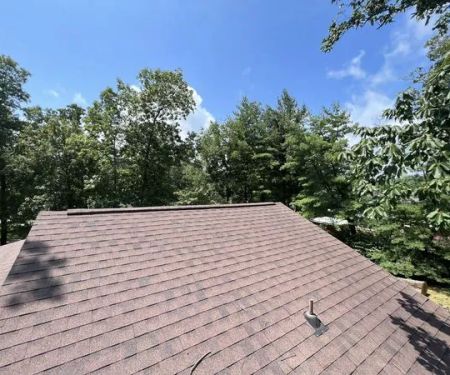 Anderson Gutter & Tree