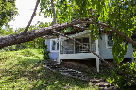 Anderson Gutter & Tree Picture 4