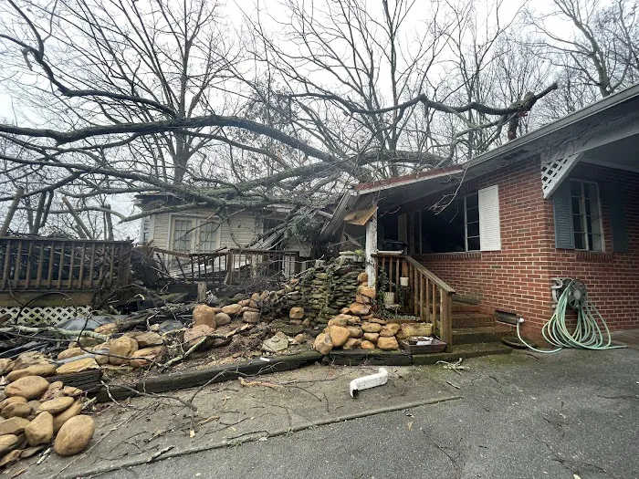 Anderson Gutter & Tree Picture 8
