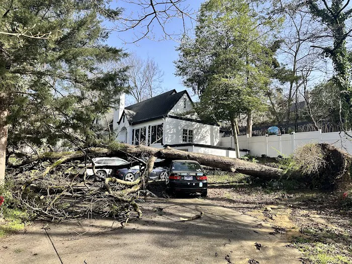 Anderson Gutter & Tree Picture 7