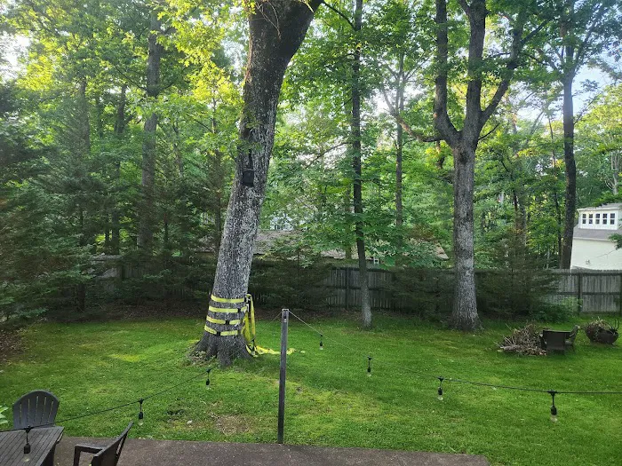 Anderson Gutter & Tree Picture 10