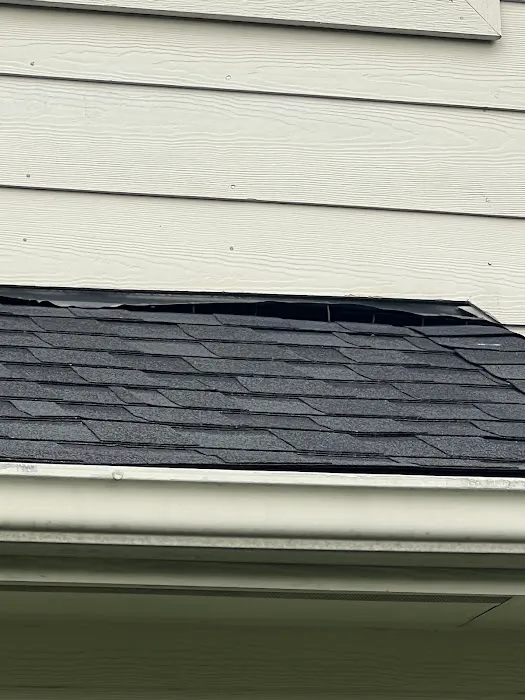 Lone Star Roof & Services Picture 2