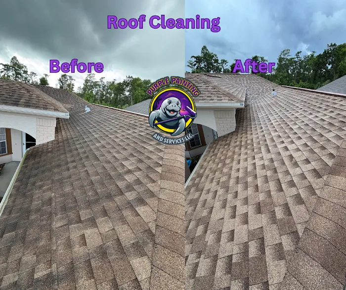 Purple Painting and Services LLC Picture 3