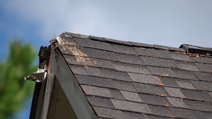Rainier Roofing LLC Picture 10