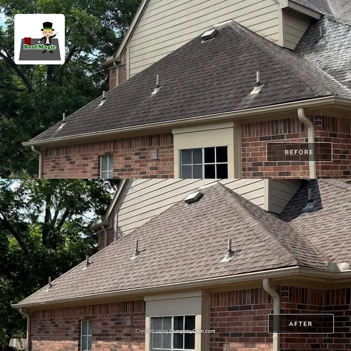 Texas Roof Magic Picture 8