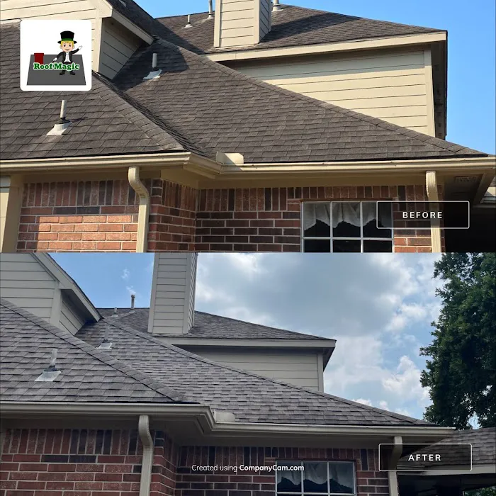 Texas Roof Magic Picture 9