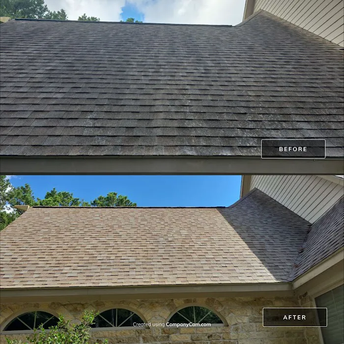 Texas Roof Magic Picture 10