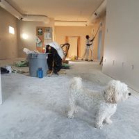 Tampa Stucco Repair Pros ico