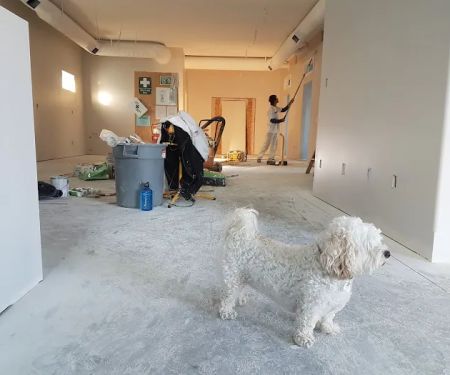 Tampa Stucco Repair Pros