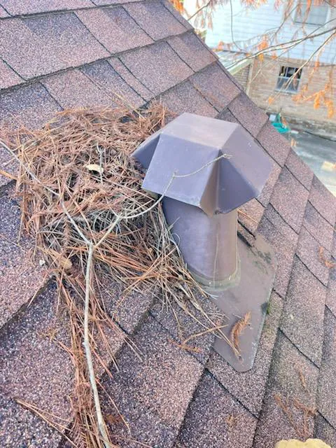 The Roof Guys Picture 7