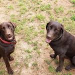 A-M-C Home Improvement