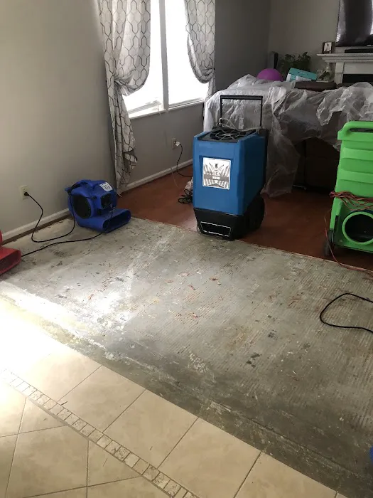 Jenkins Restorations Picture 8