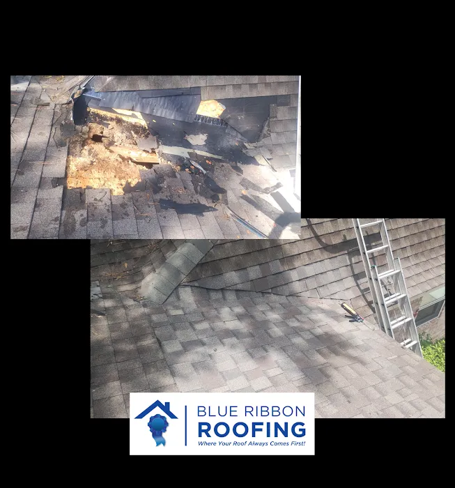 Blue Ribbon Roofing LLC Picture 5