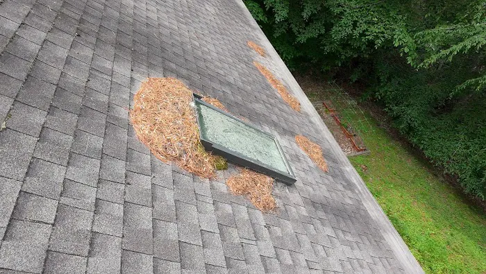 Litespeed Construction - Asheville Roofing Contractor Picture 3