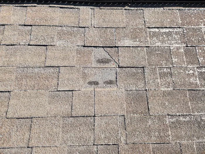 DG Roofing & Services Picture 6