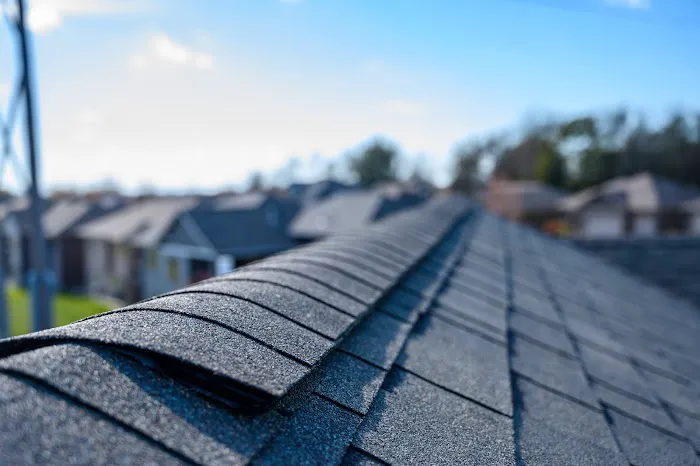 Sugar Land Roofing LLC Picture 4