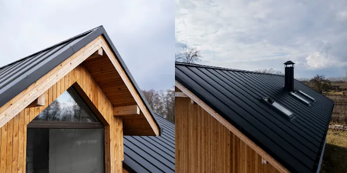 Rivera & Sons Roofing Picture 1