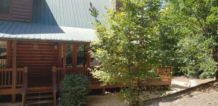 Log & Timber Solutions LLC Picture 9