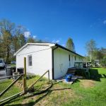 Alejandro Pro painting