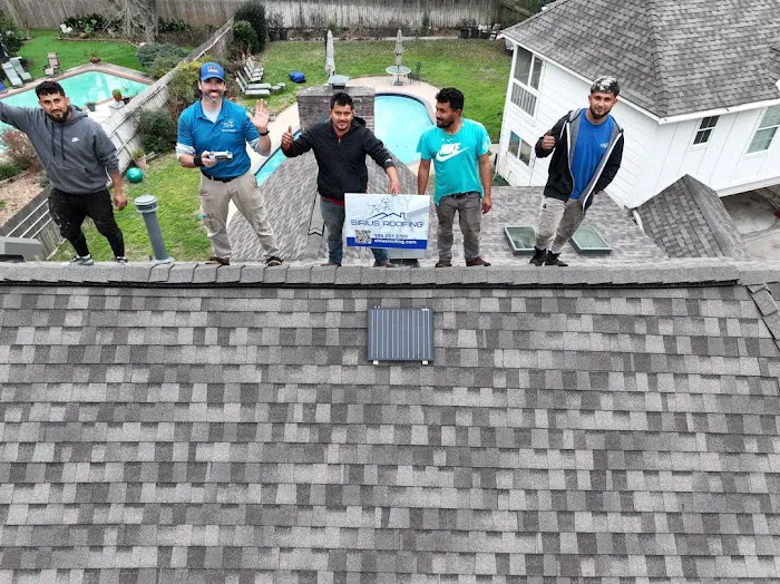 Sirius Roofing Picture 3