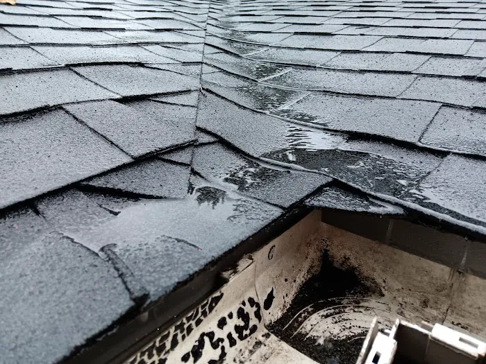 Ben Diaz Roofing Picture 1