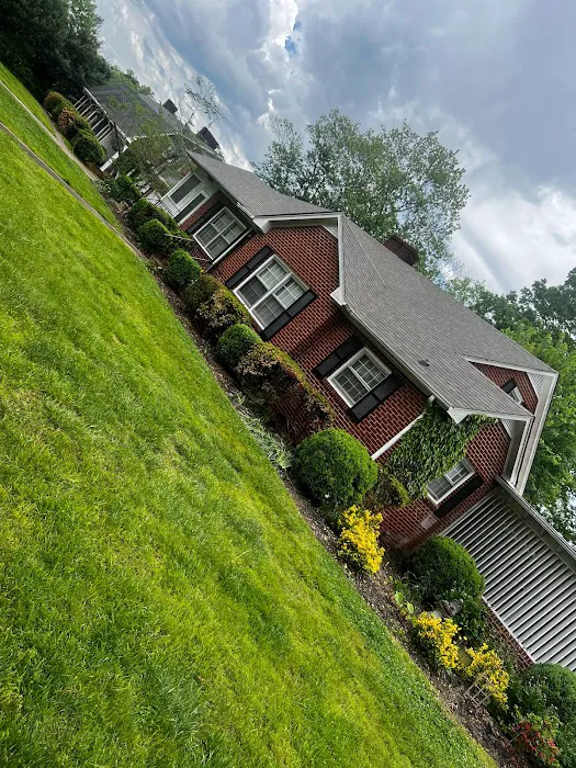 Infinity Roofing Picture 5