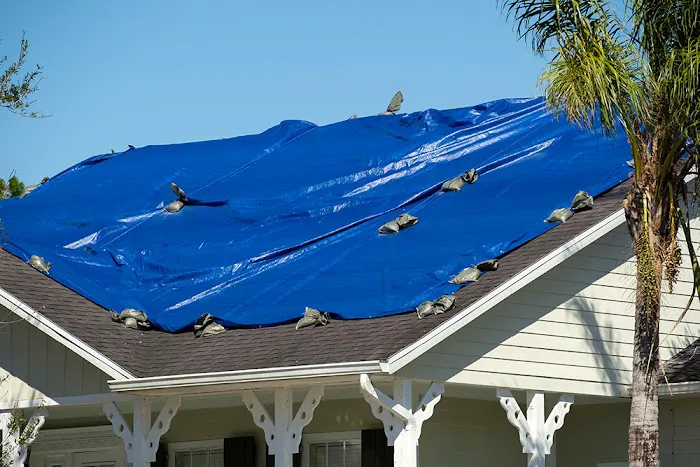 Brogdon Roofing Picture 4