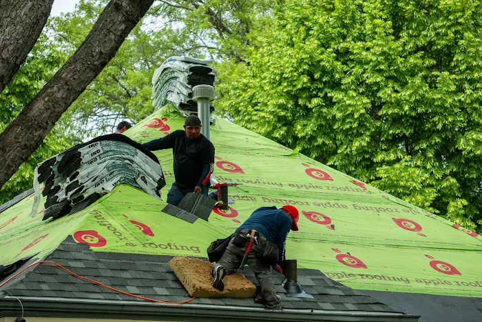 Apple Roofing Picture 7
