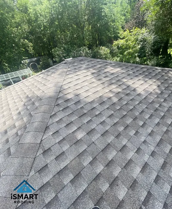 iSmart Roofing Picture 4