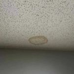 Cardinal Roofing & Siding