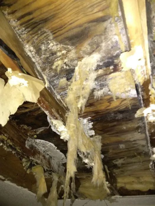 Treasure Coast Roofing LLC Picture 7