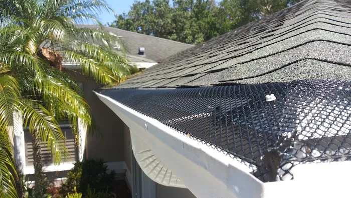 Dickens Seamless Gutter Picture 9