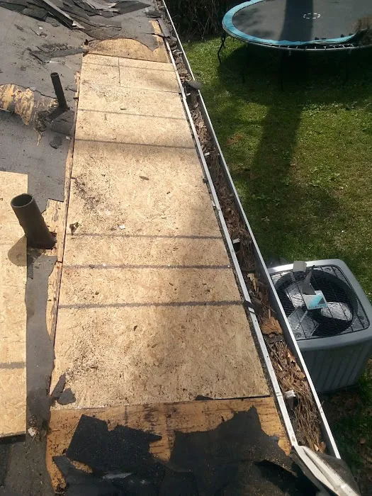 Avocado Roofing Picture 4