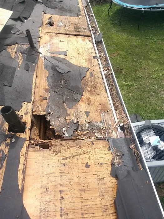 Avocado Roofing Picture 7