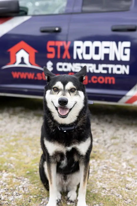 STX Roofing Picture 5