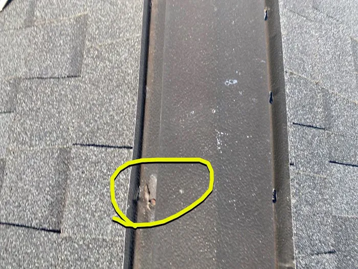 Tampa Bay Roofing Services Picture 6