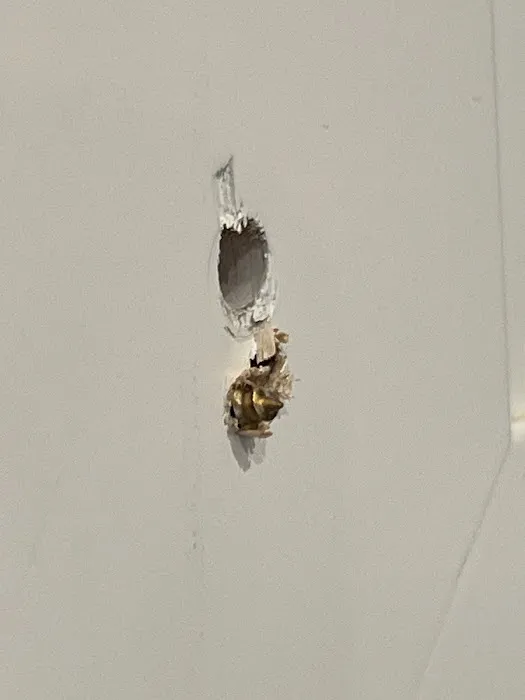 Southern Painting Tampa / Hillsborough Picture 1