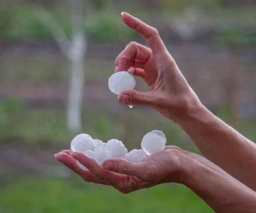 How to Spot Hail Damage on Your Roof | Essential Roof Inspection Tips