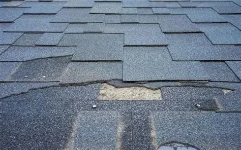 Top 10 Signs Your Roof Needs Immediate Repair