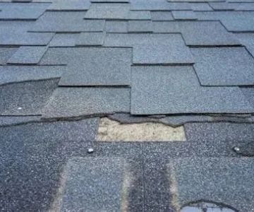 Top 10 Signs Your Roof Needs Immediate Repair