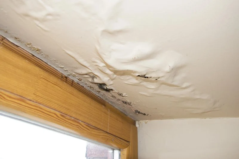 Roof Damage Hidden Behind Drywall or Interior Ceilings: How to Detect and Prevent It