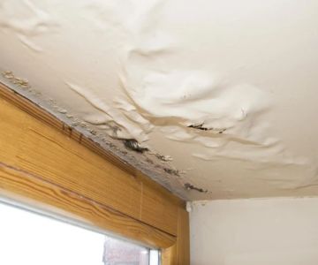 Roof Damage Hidden Behind Drywall or Interior Ceilings: How to Detect and Prevent It