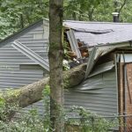 How to Protect Your Roof After a Tree Falls On It: Essential Steps