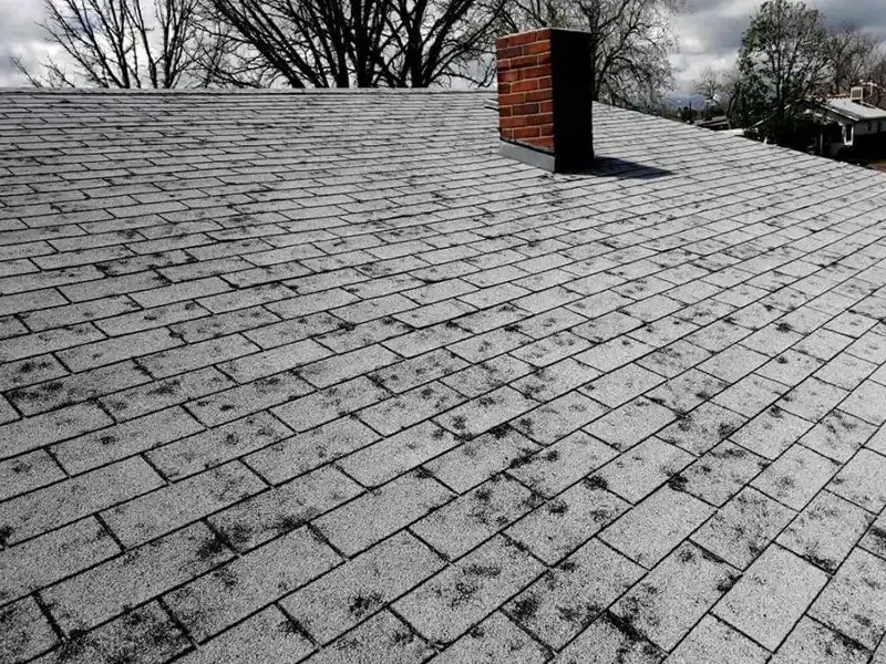 How to Spot Hail Damage on Your Roof and What to Do About It
