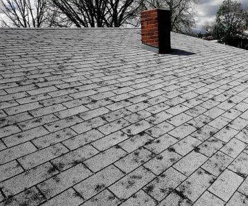 How to Spot Hail Damage on Your Roof and What to Do About It
