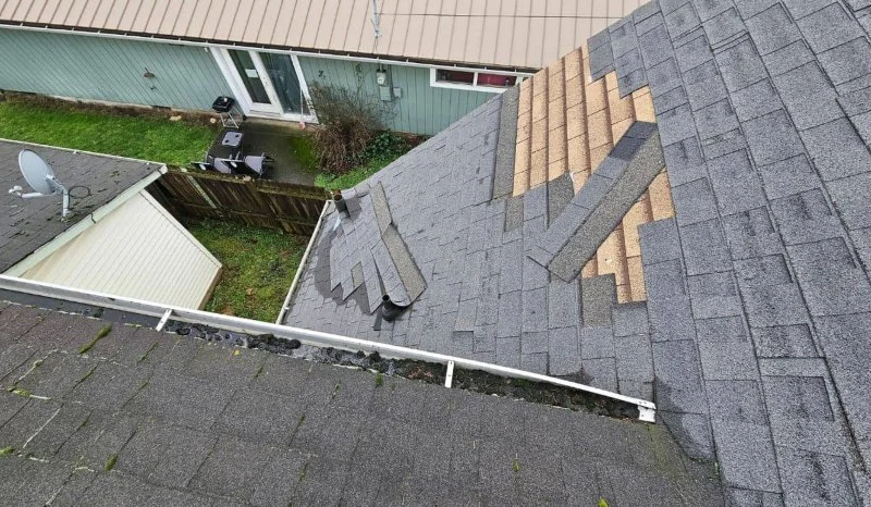 How Often Should You Replace Your Home's Siding? | Total Roofing Hub
