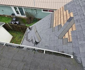 How Often Should You Replace Your Home's Siding? | Total Roofing Hub