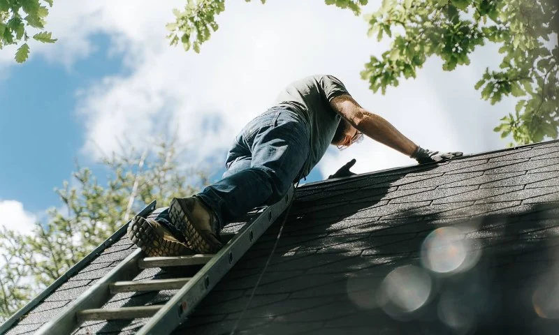 Roof Repair Steps After Hail: Insurance, Inspection & Replacement | Total Roofing Hub